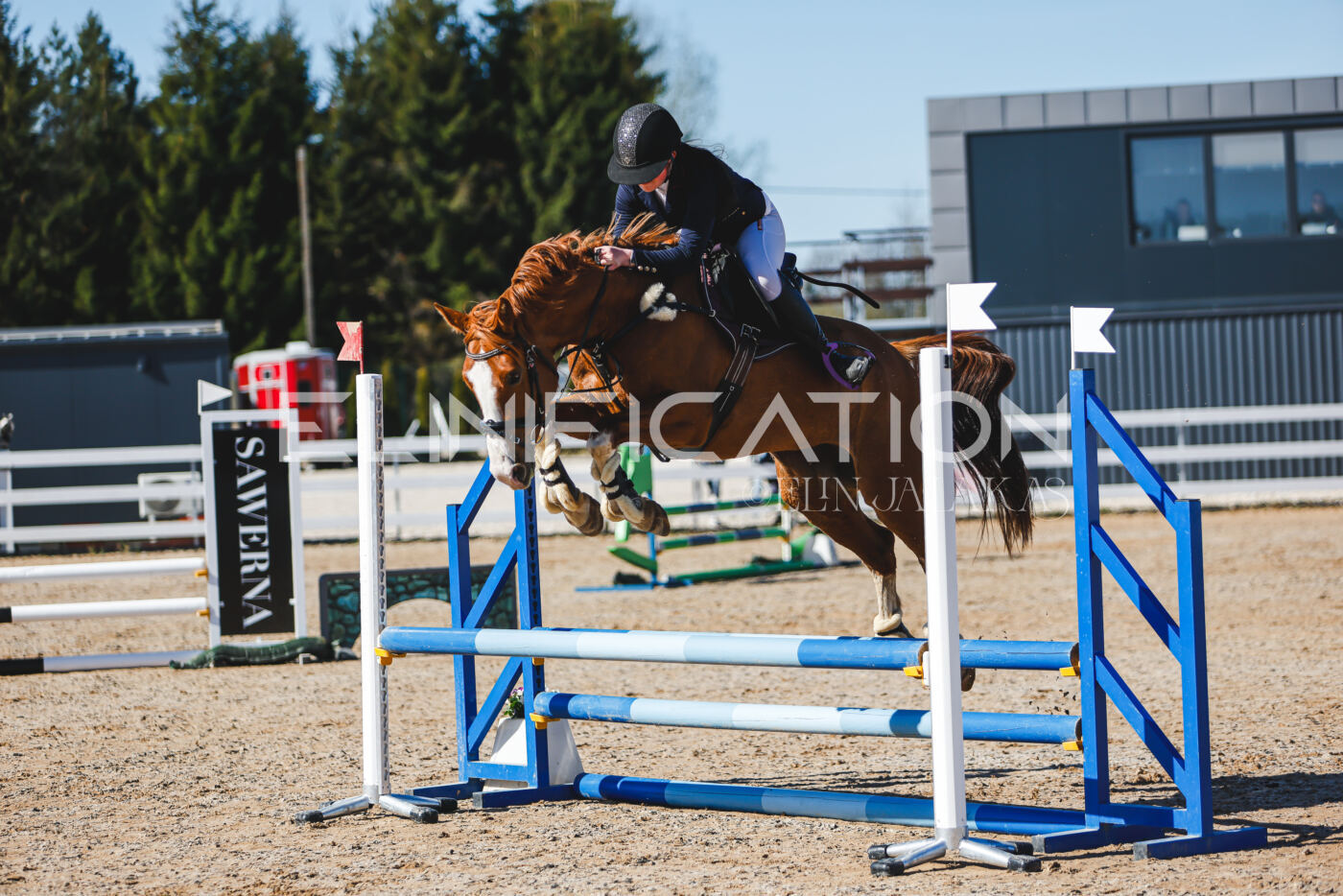 Gramina_Volber_2026_hc70-80_0141