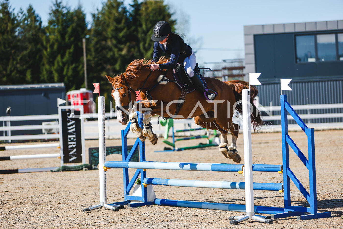 Gramina_Volber_2026_hc70-80_0142