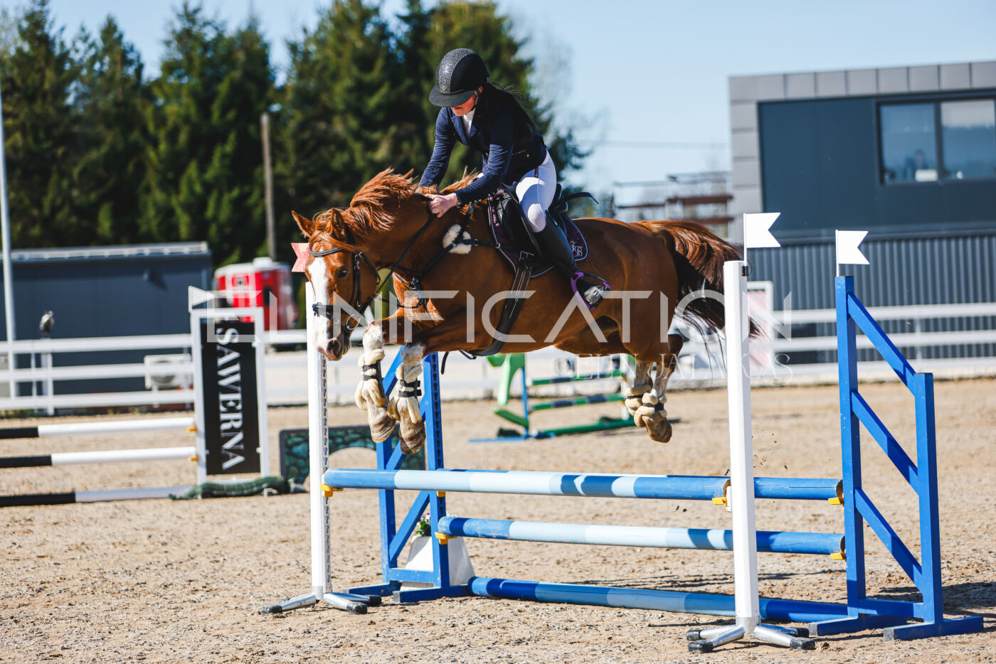 Gramina_Volber_2026_hc70-80_0143