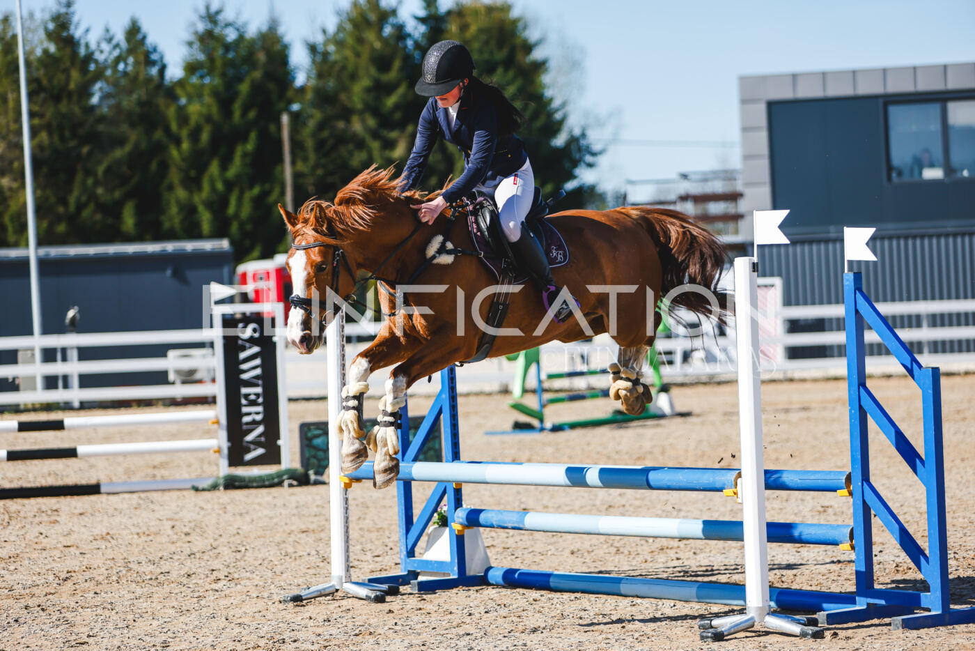 Gramina_Volber_2026_hc70-80_0144