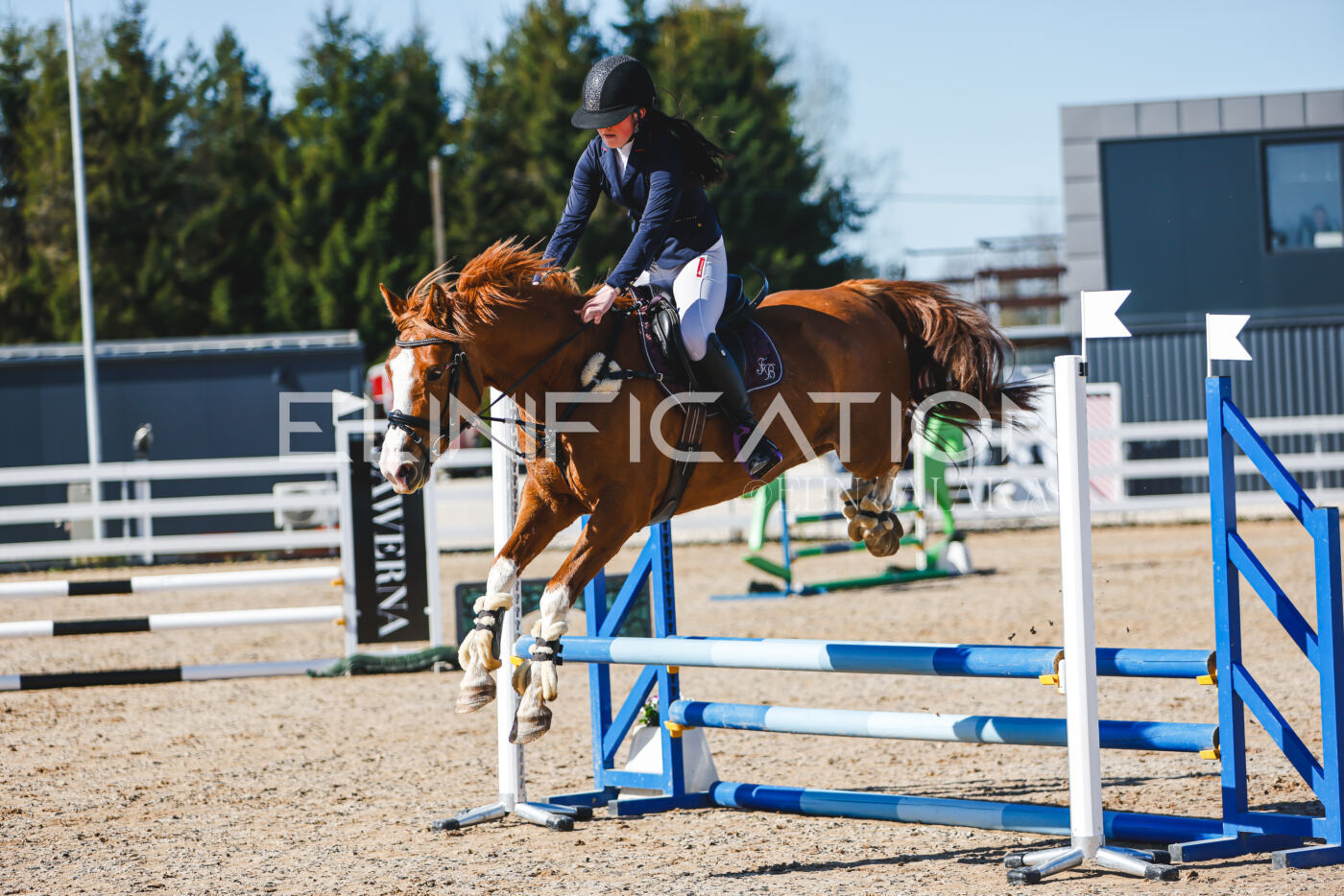 Gramina_Volber_2026_hc70-80_0145