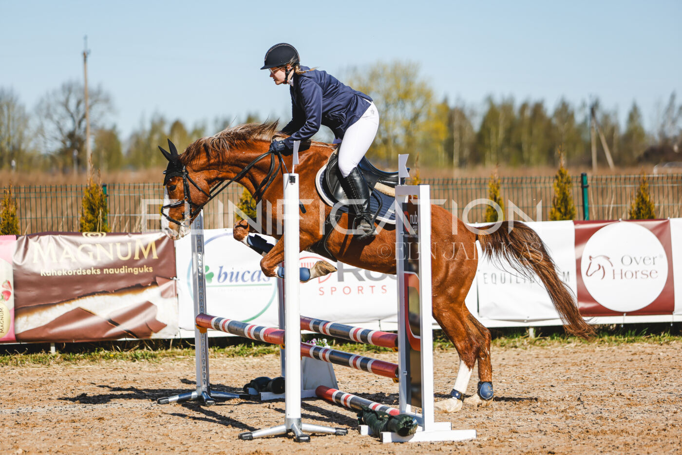 Gramina_Volber_2026_hc70-80_0147