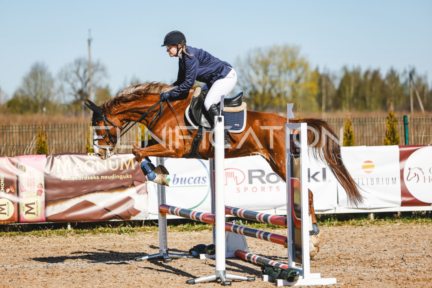 Gramina_Volber_2026_hc70-80_0149
