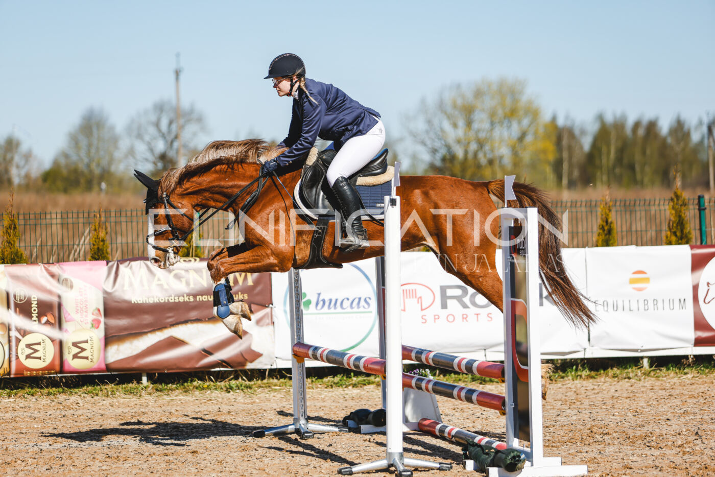 Gramina_Volber_2026_hc70-80_0150