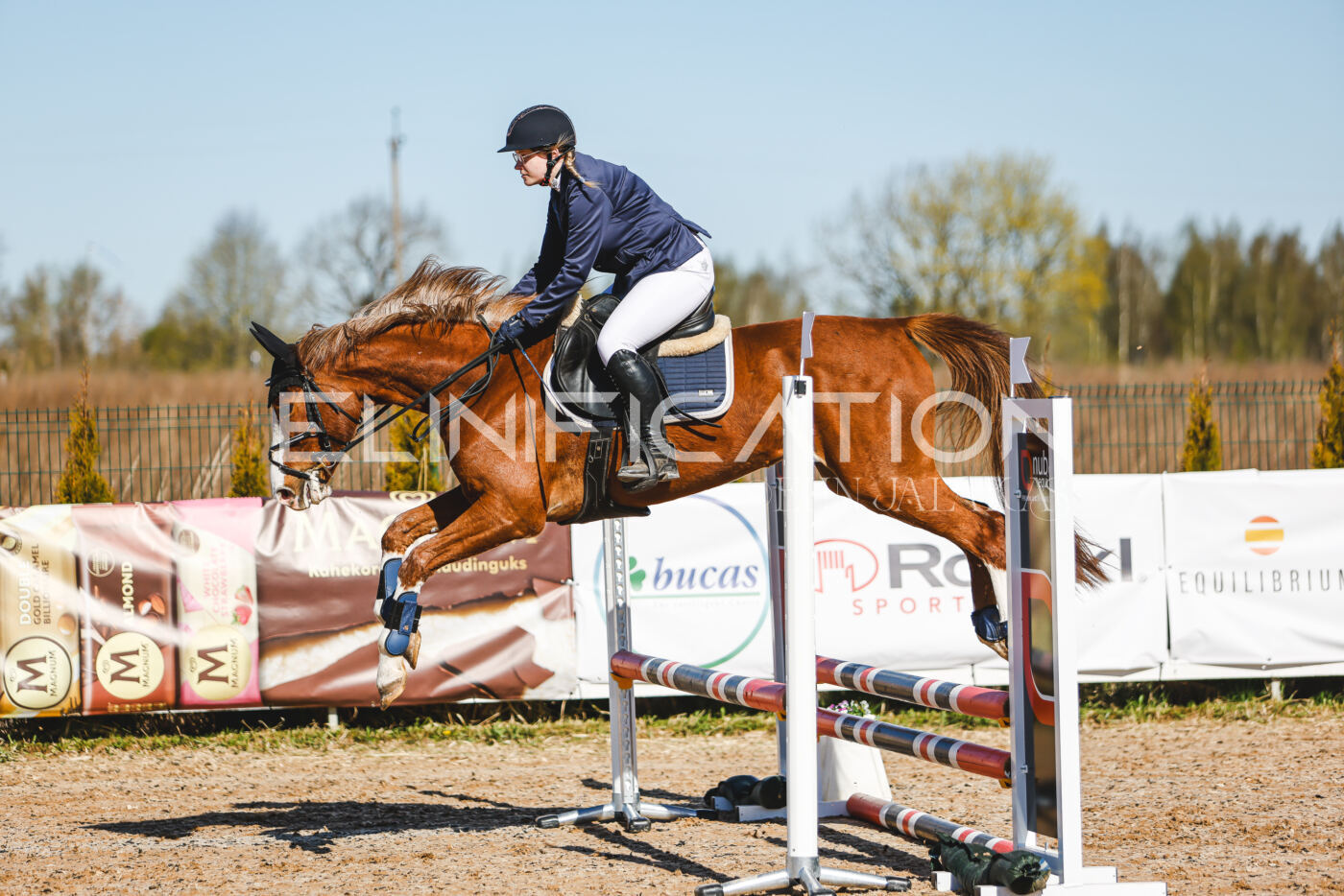 Gramina_Volber_2026_hc70-80_0151