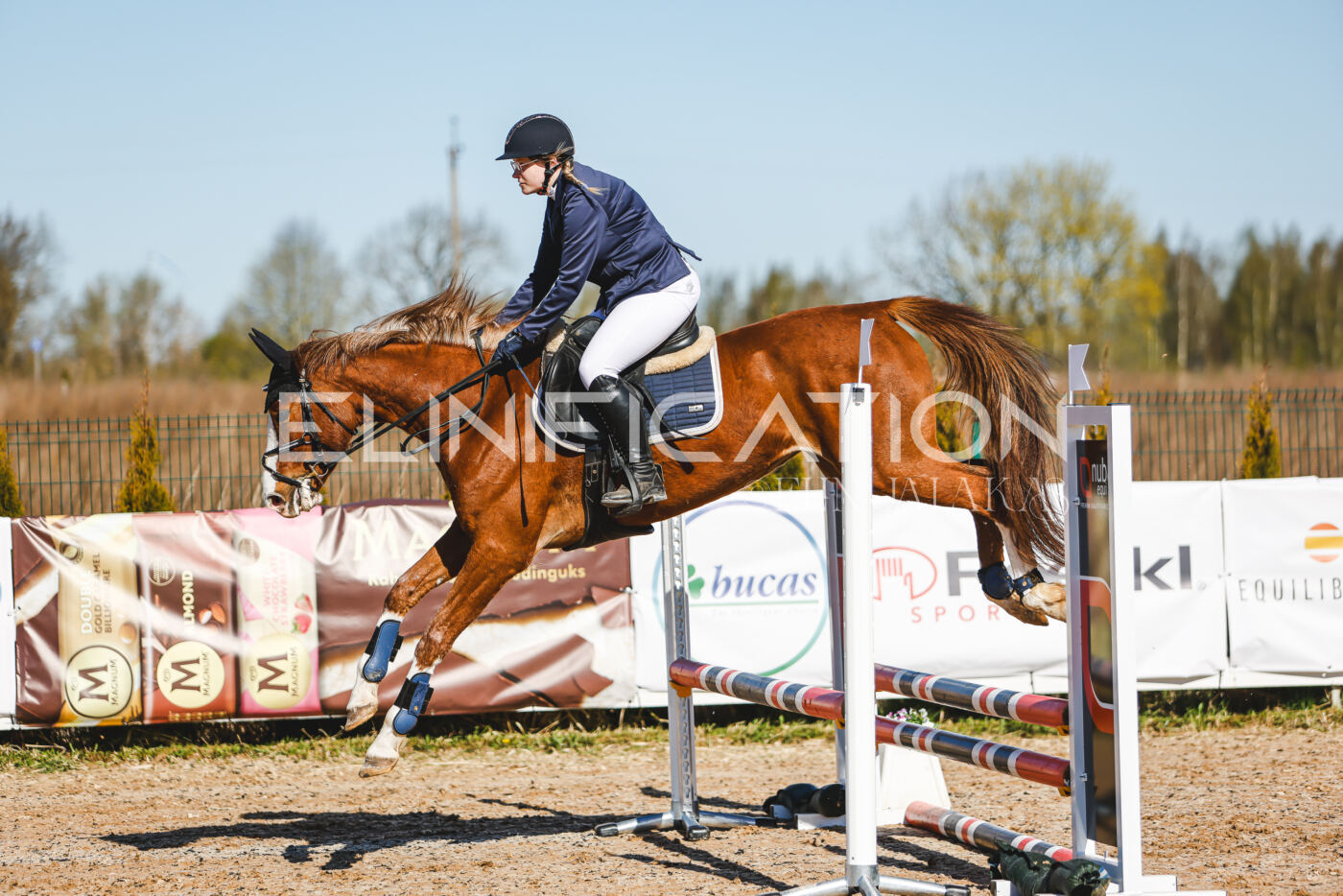 Gramina_Volber_2026_hc70-80_0152