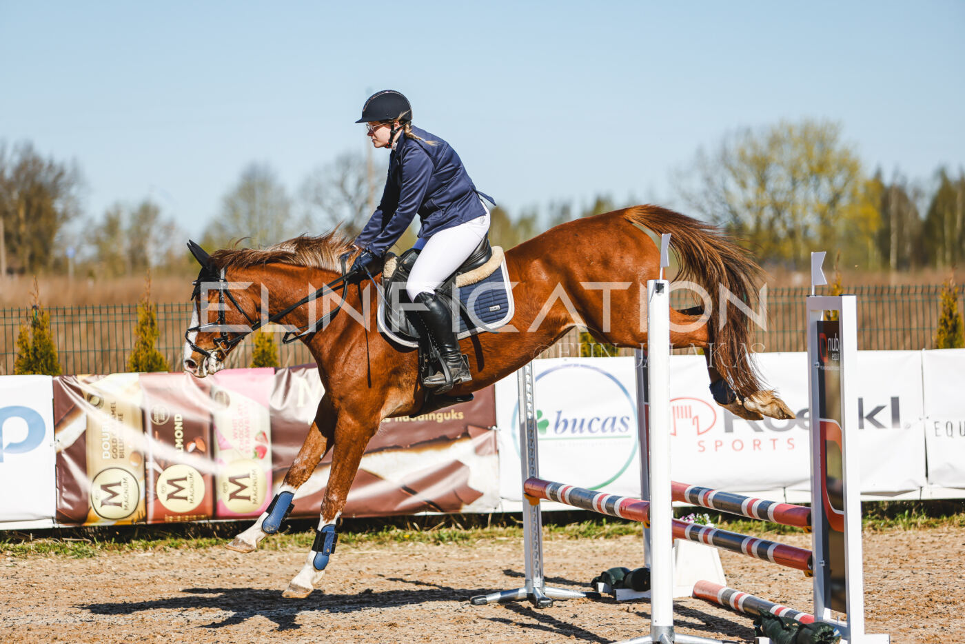 Gramina_Volber_2026_hc70-80_0153
