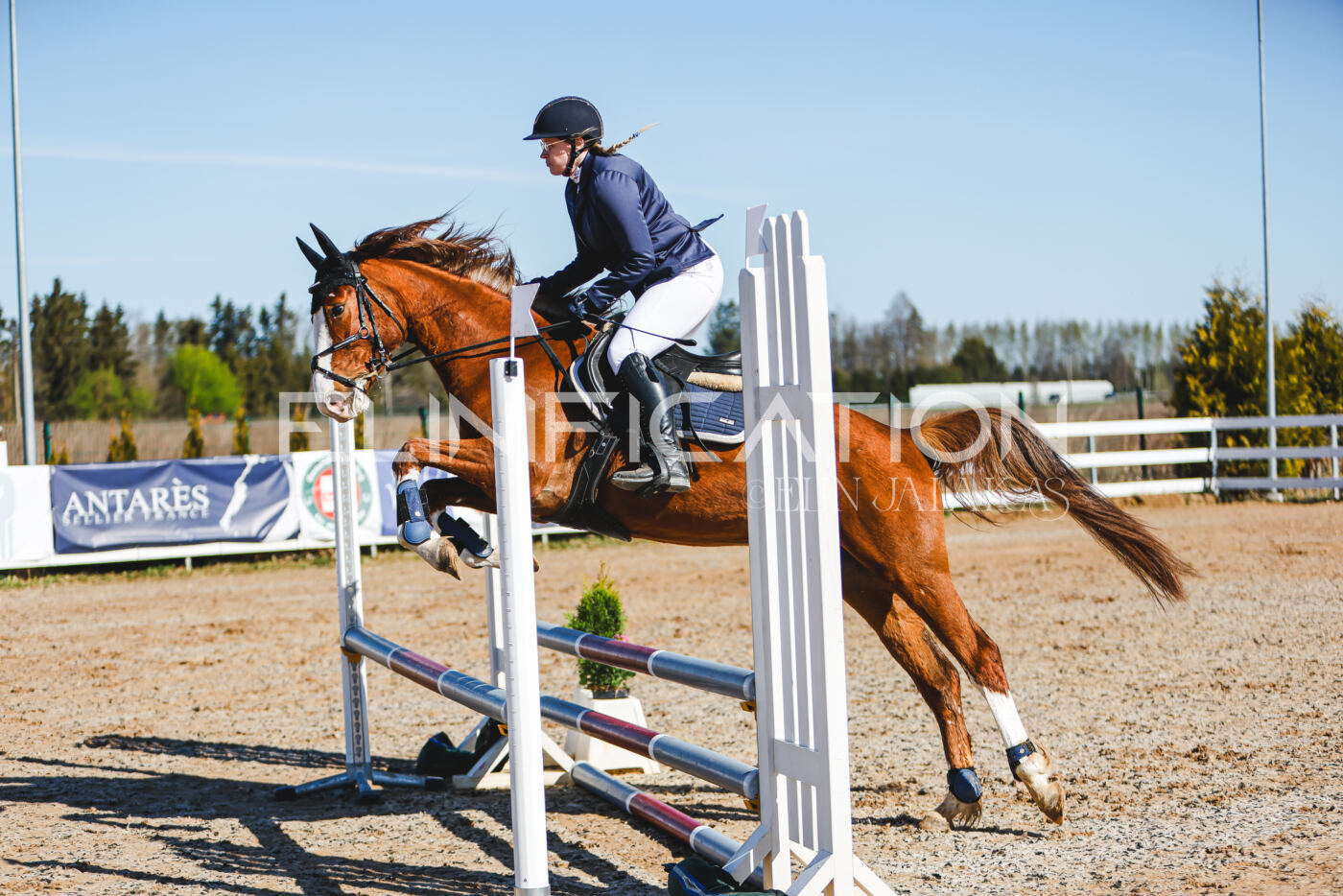 Gramina_Volber_2026_hc70-80_0161