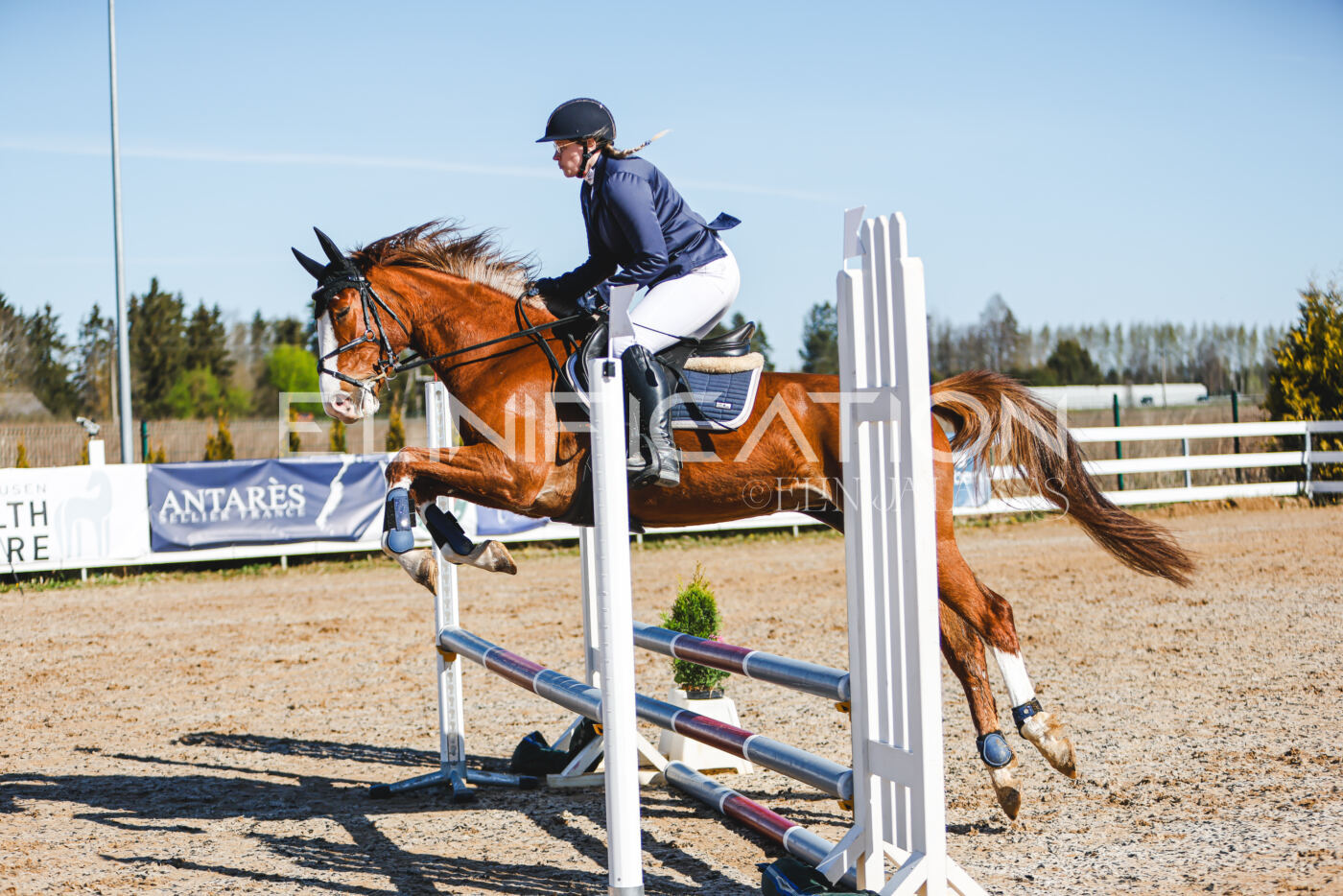 Gramina_Volber_2026_hc70-80_0162
