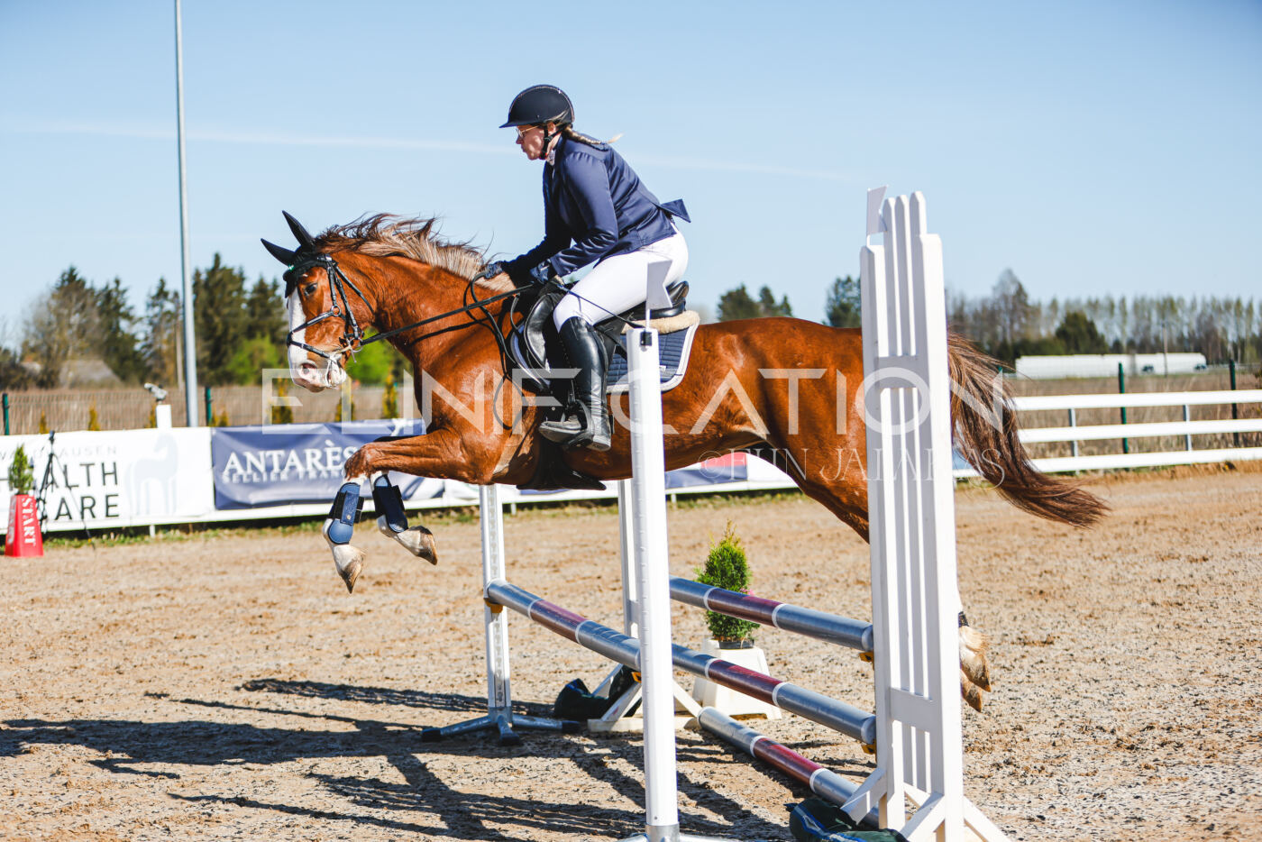 Gramina_Volber_2026_hc70-80_0163