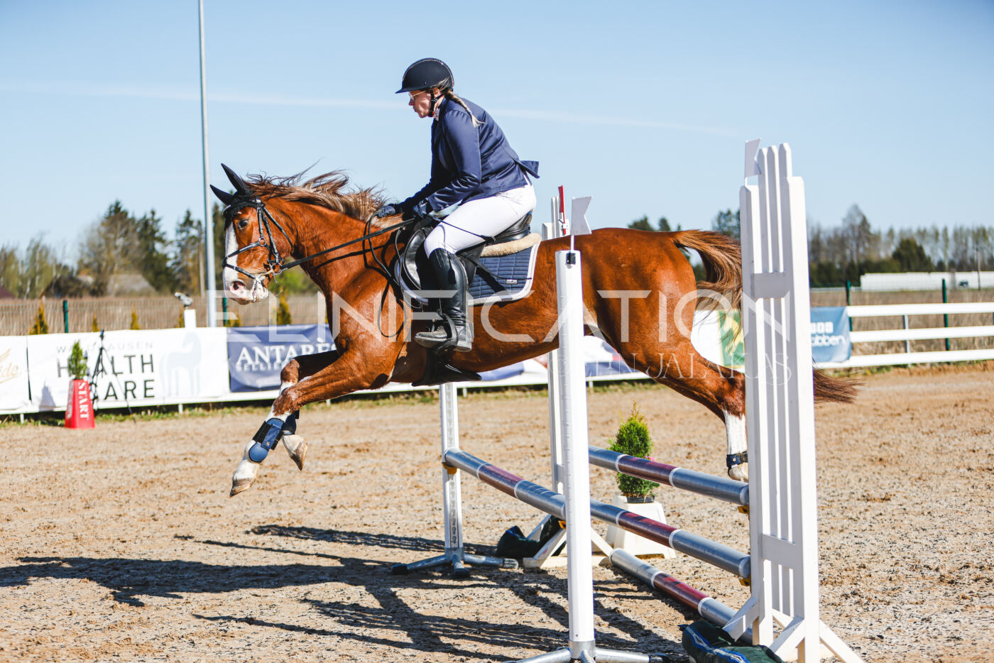 Gramina_Volber_2026_hc70-80_0164