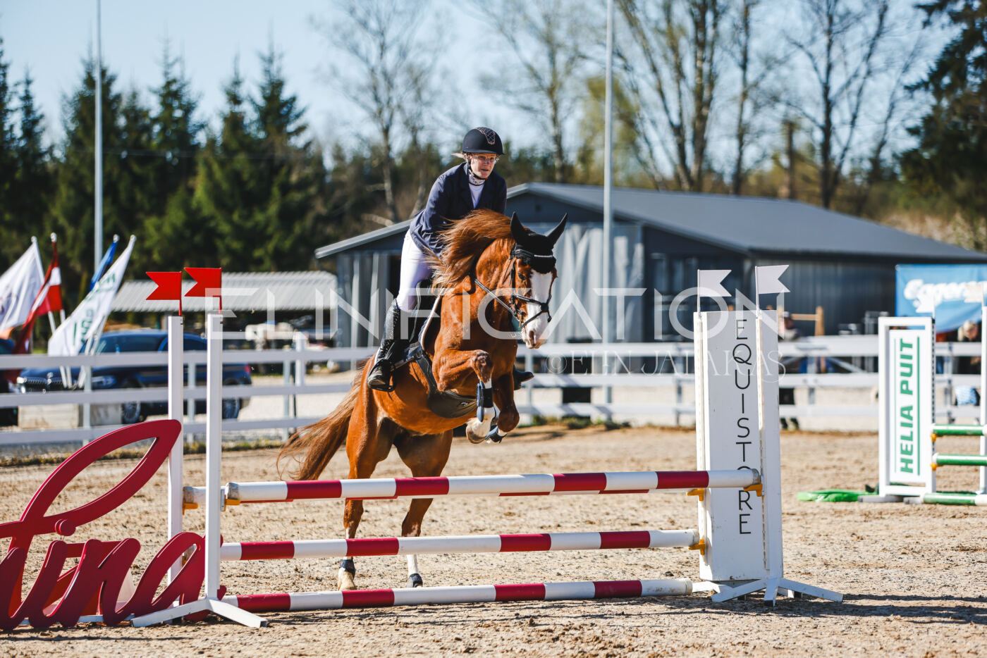 Gramina_Volber_2026_hc70-80_0167