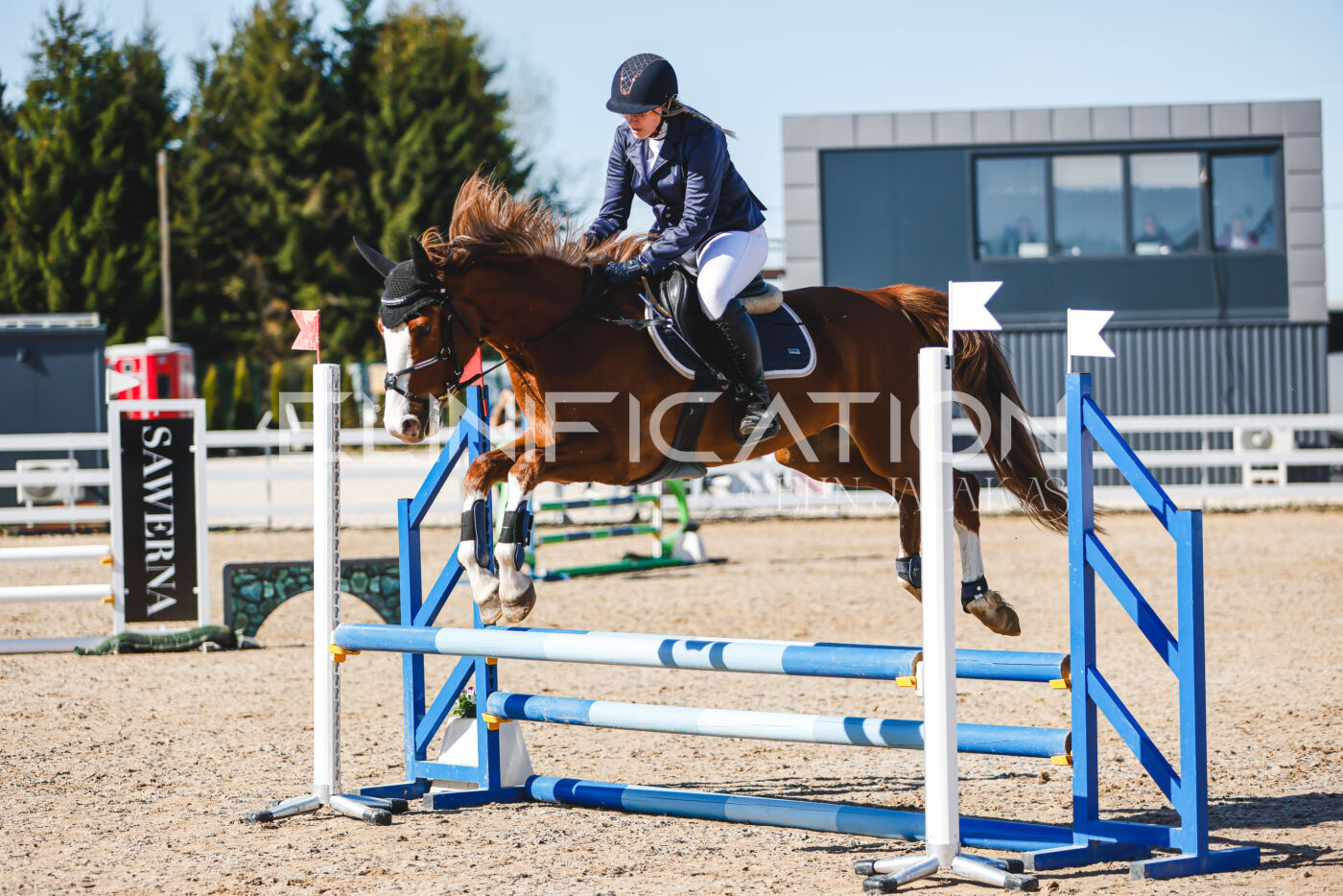 Gramina_Volber_2026_hc70-80_0177