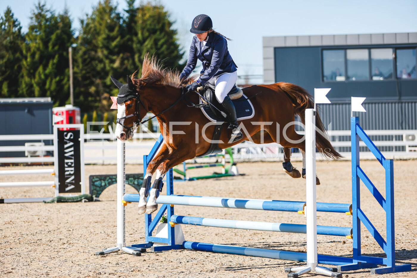 Gramina_Volber_2026_hc70-80_0178