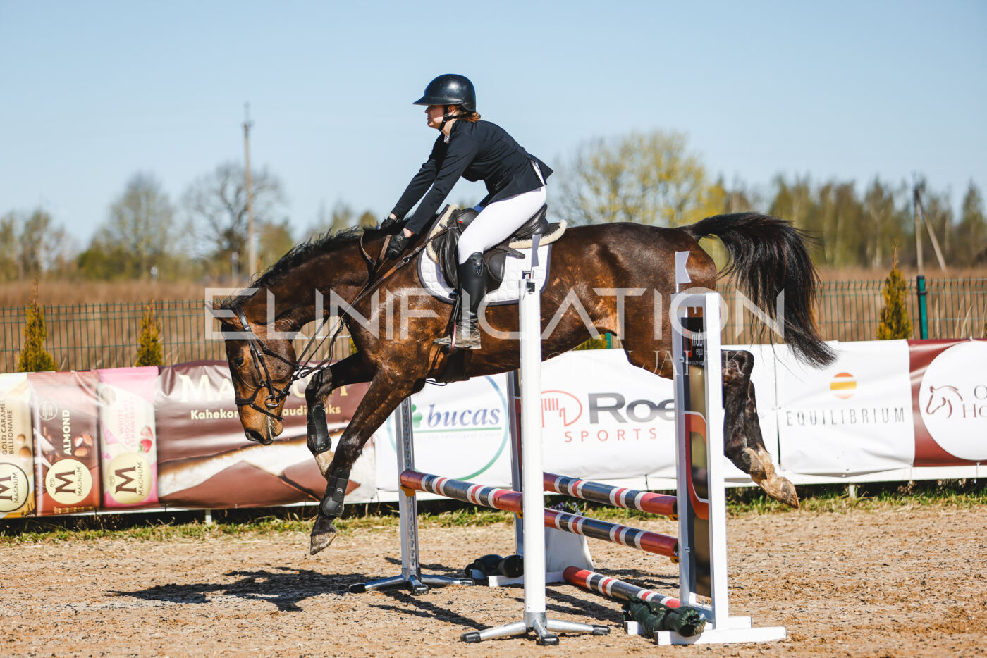 Gramina_Volber_2026_hc70-80_0185