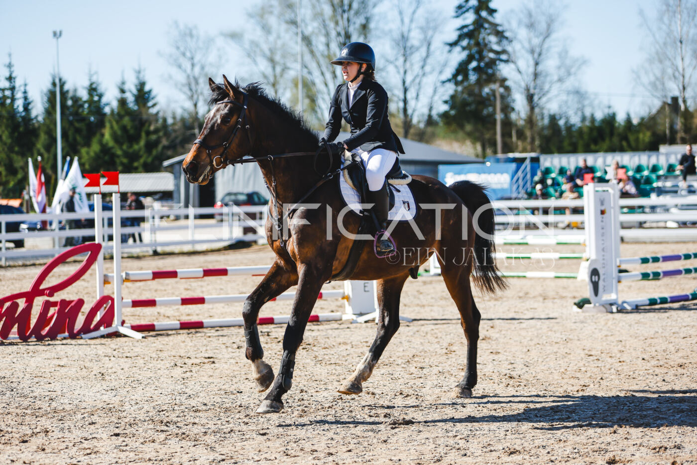Gramina_Volber_2026_hc70-80_0190