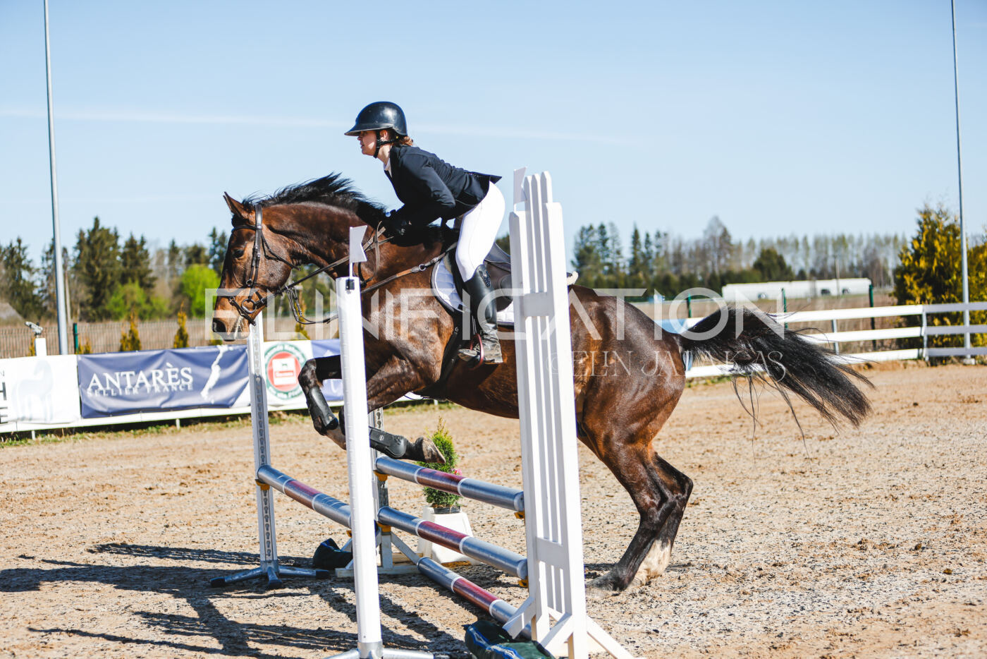 Gramina_Volber_2026_hc70-80_0191