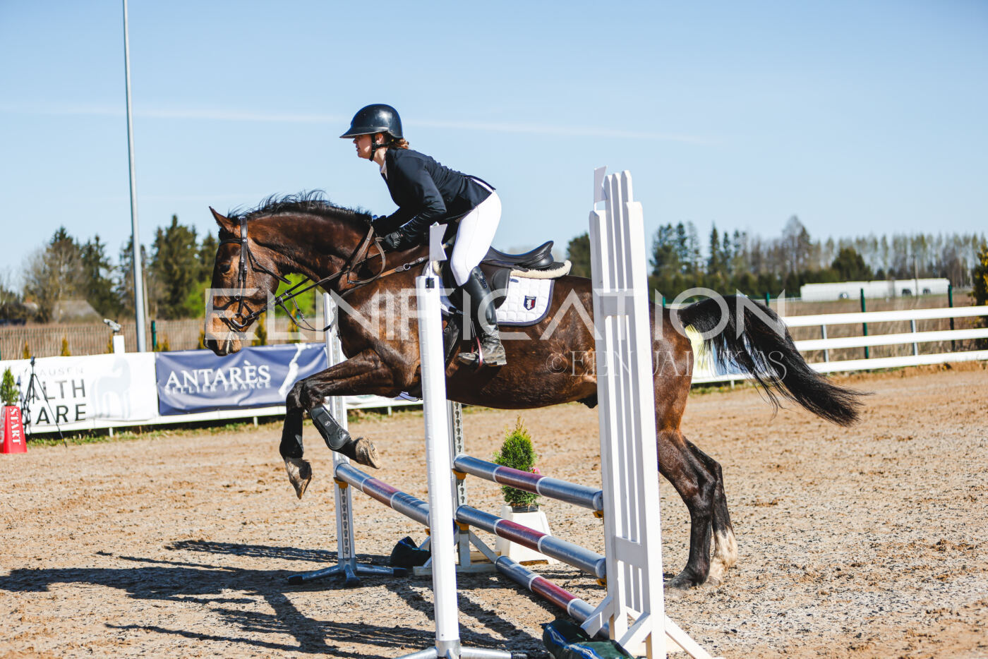 Gramina_Volber_2026_hc70-80_0193