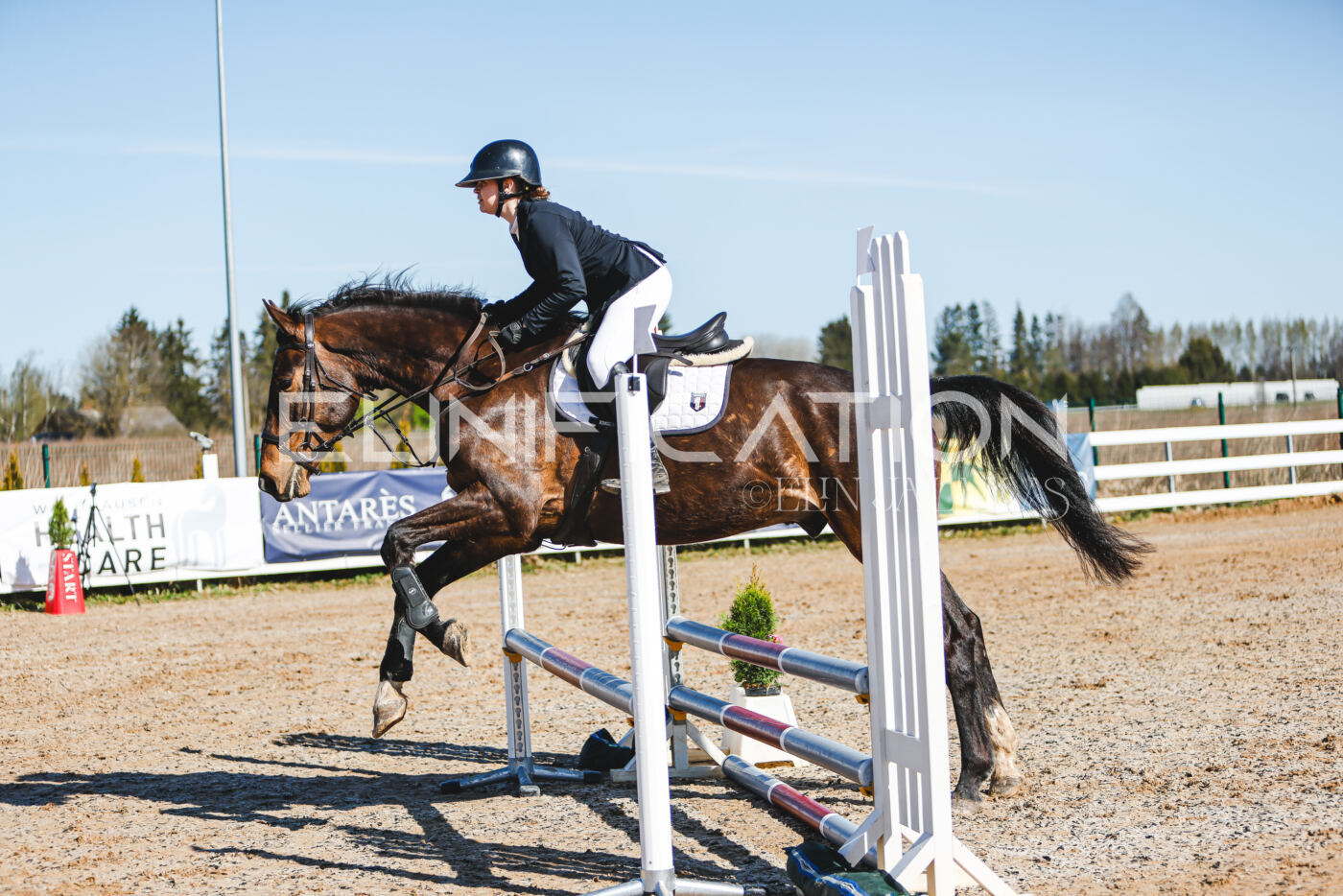 Gramina_Volber_2026_hc70-80_0194