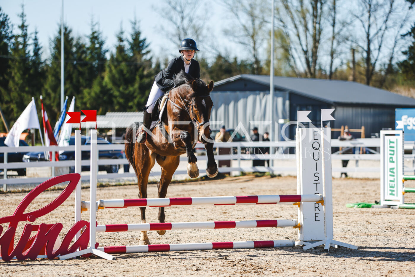 Gramina_Volber_2026_hc70-80_0198