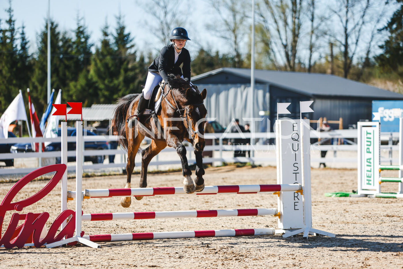 Gramina_Volber_2026_hc70-80_0200