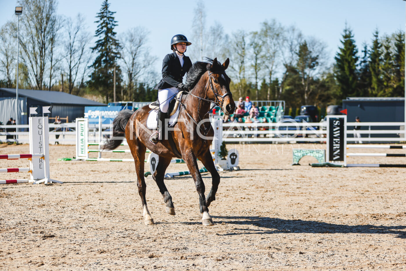 Gramina_Volber_2026_hc70-80_0203