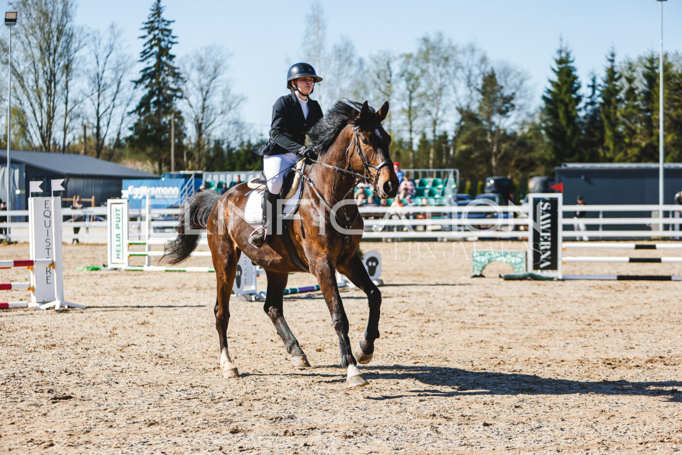 Gramina_Volber_2026_hc70-80_0204