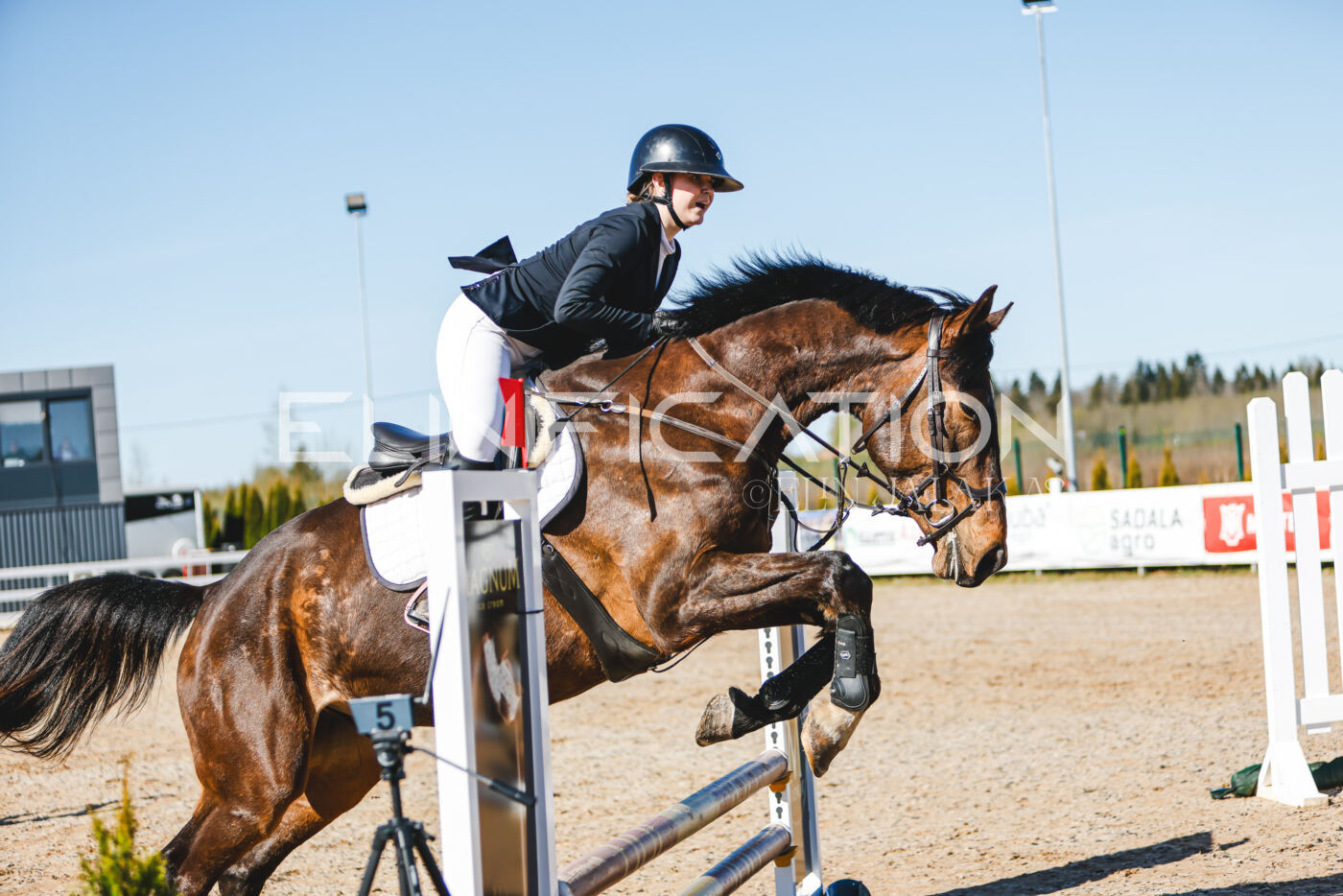 Gramina_Volber_2026_hc70-80_0206