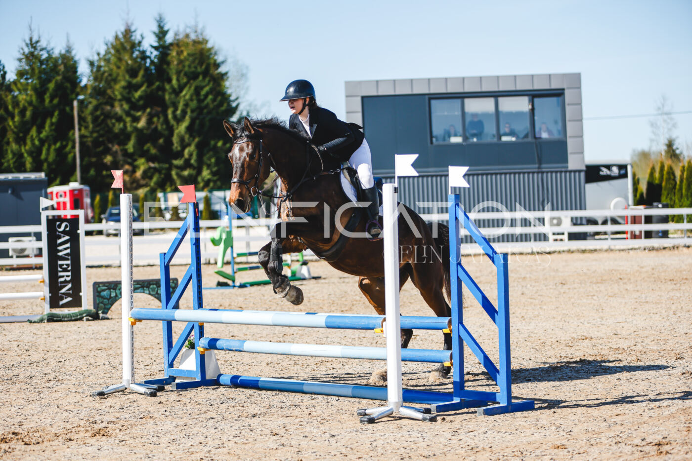 Gramina_Volber_2026_hc70-80_0208