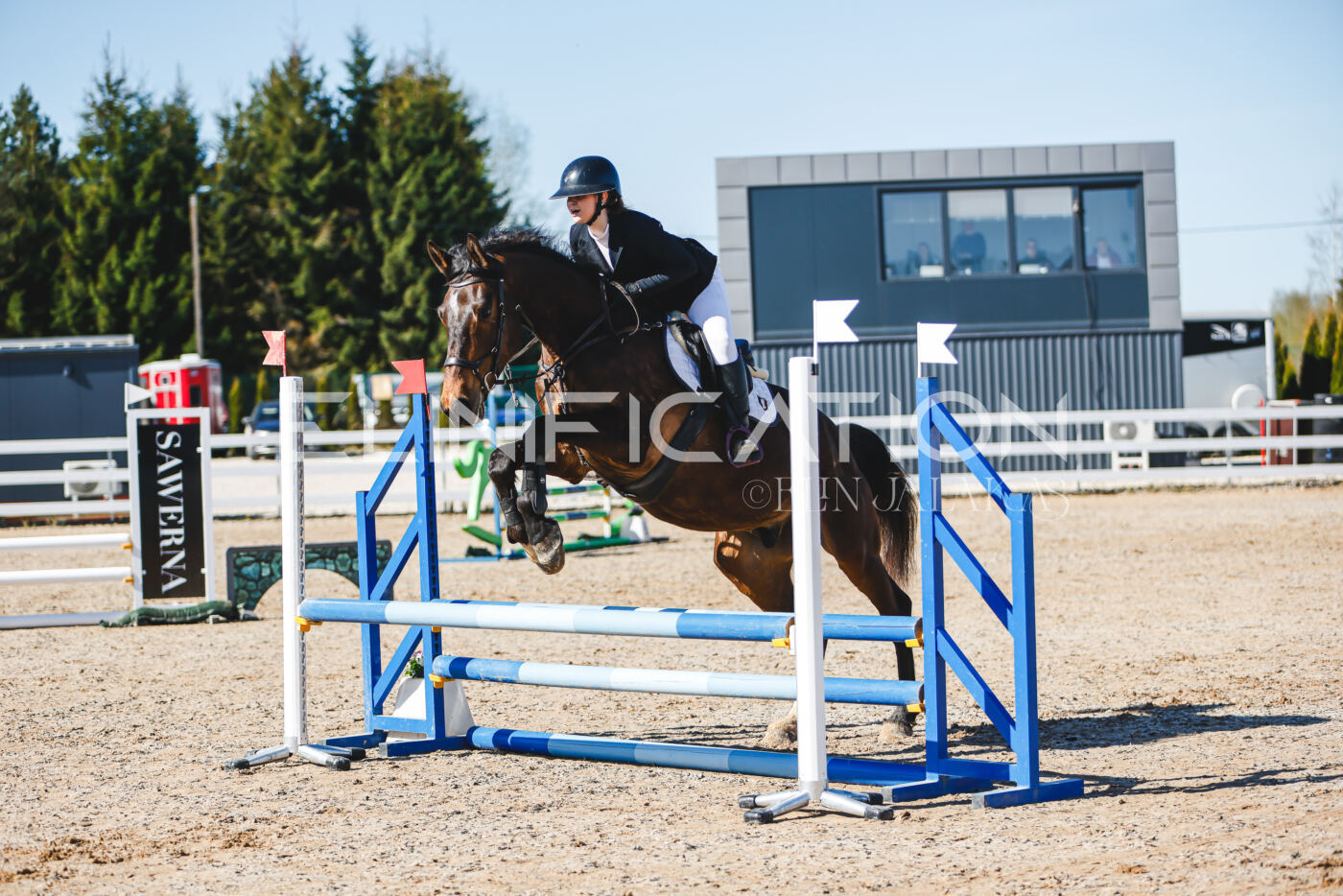 Gramina_Volber_2026_hc70-80_0209