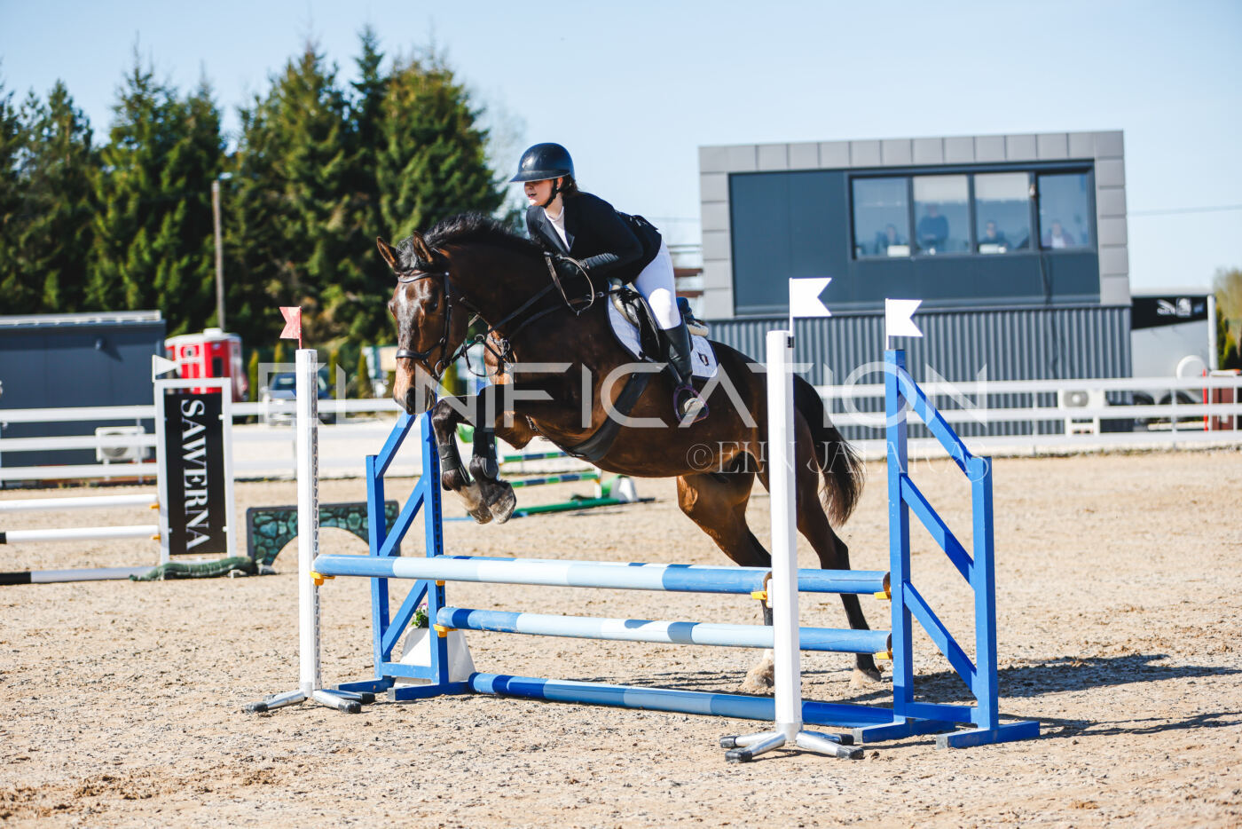 Gramina_Volber_2026_hc70-80_0210