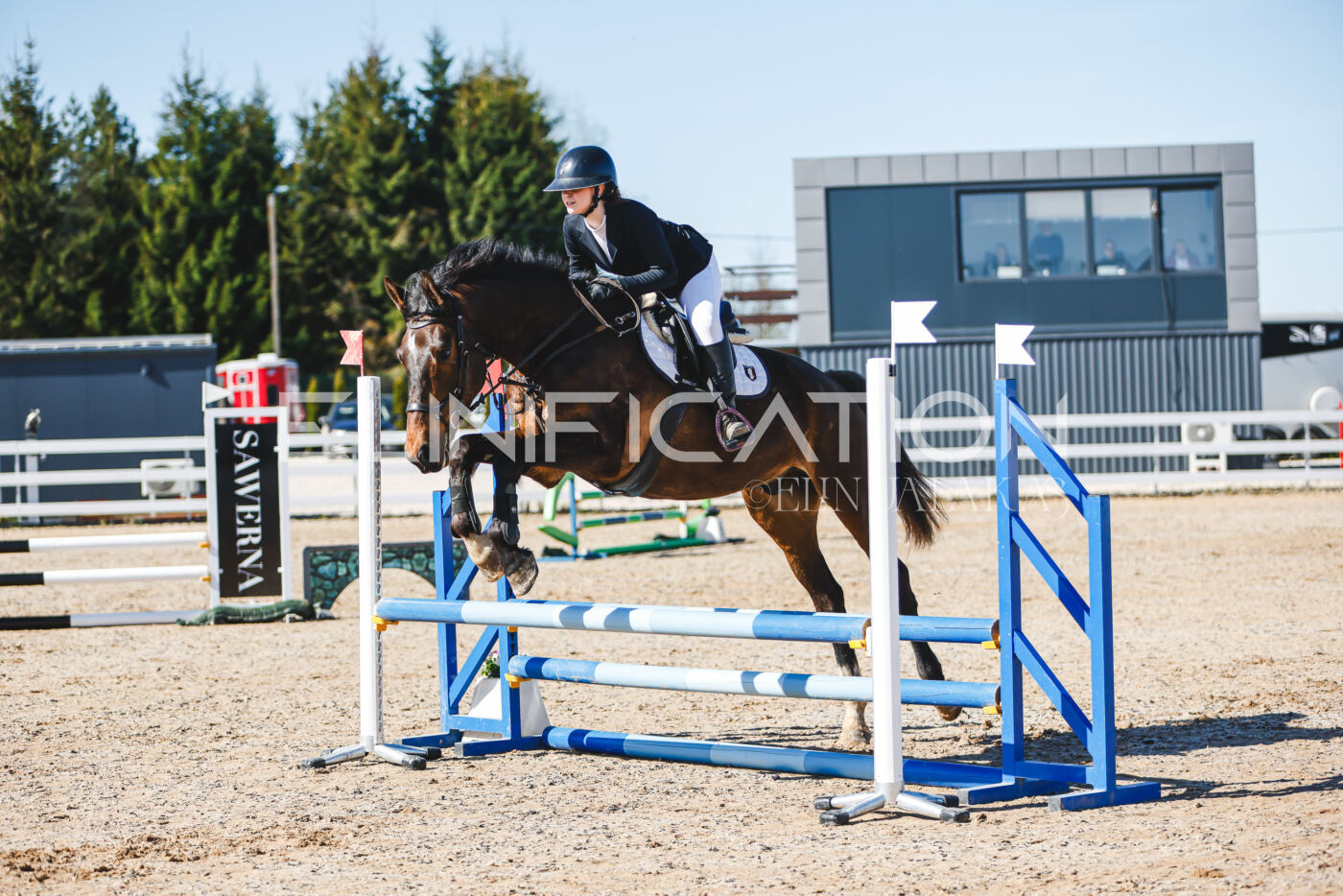 Gramina_Volber_2026_hc70-80_0211