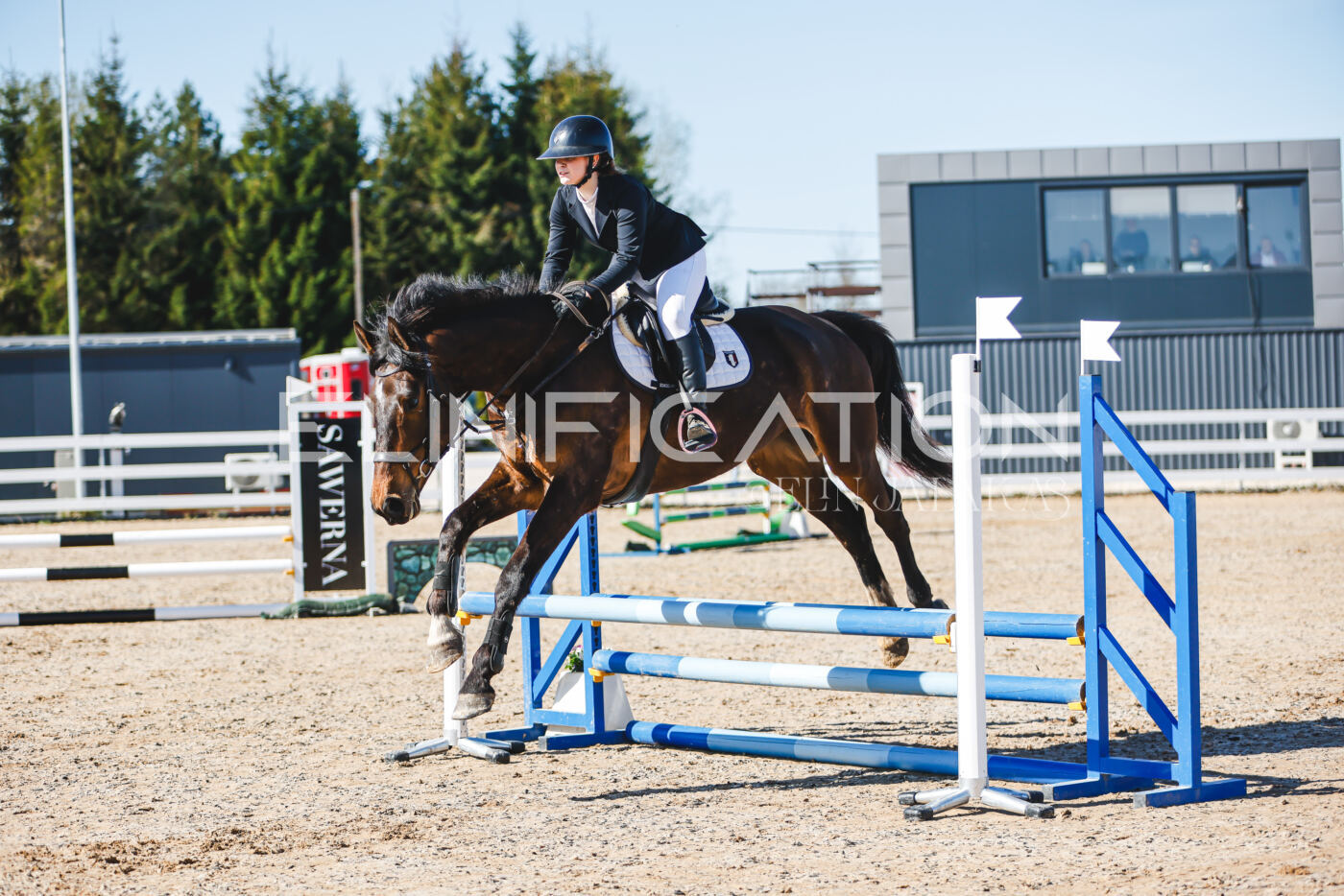 Gramina_Volber_2026_hc70-80_0213