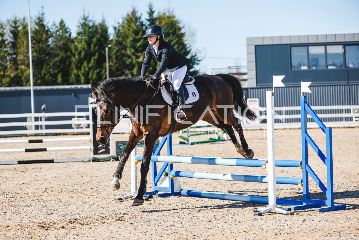 Gramina_Volber_2026_hc70-80_0214