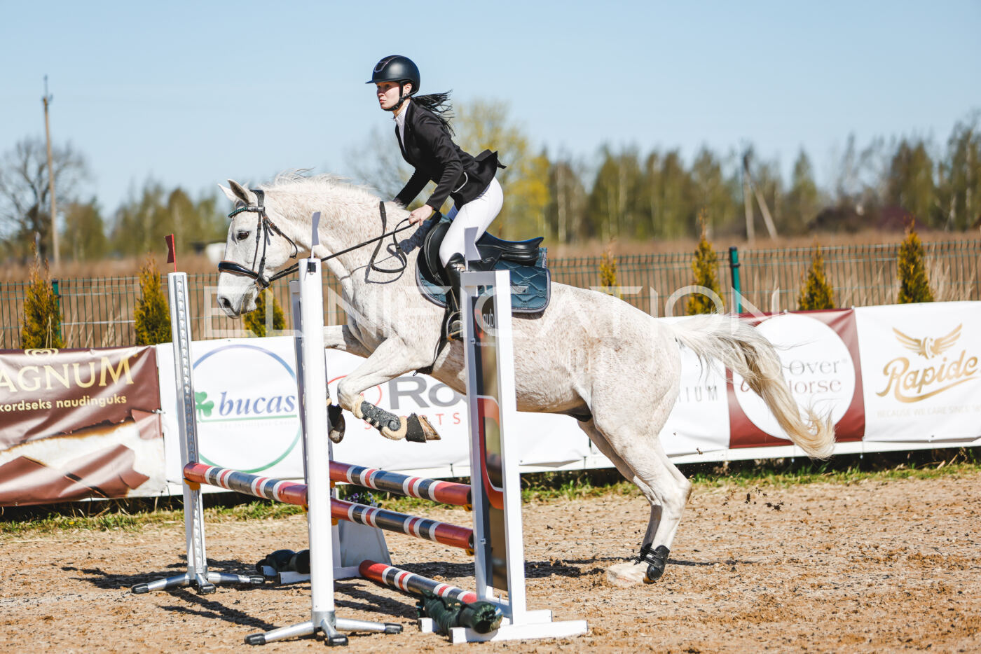 Gramina_Volber_2026_hc70-80_0215
