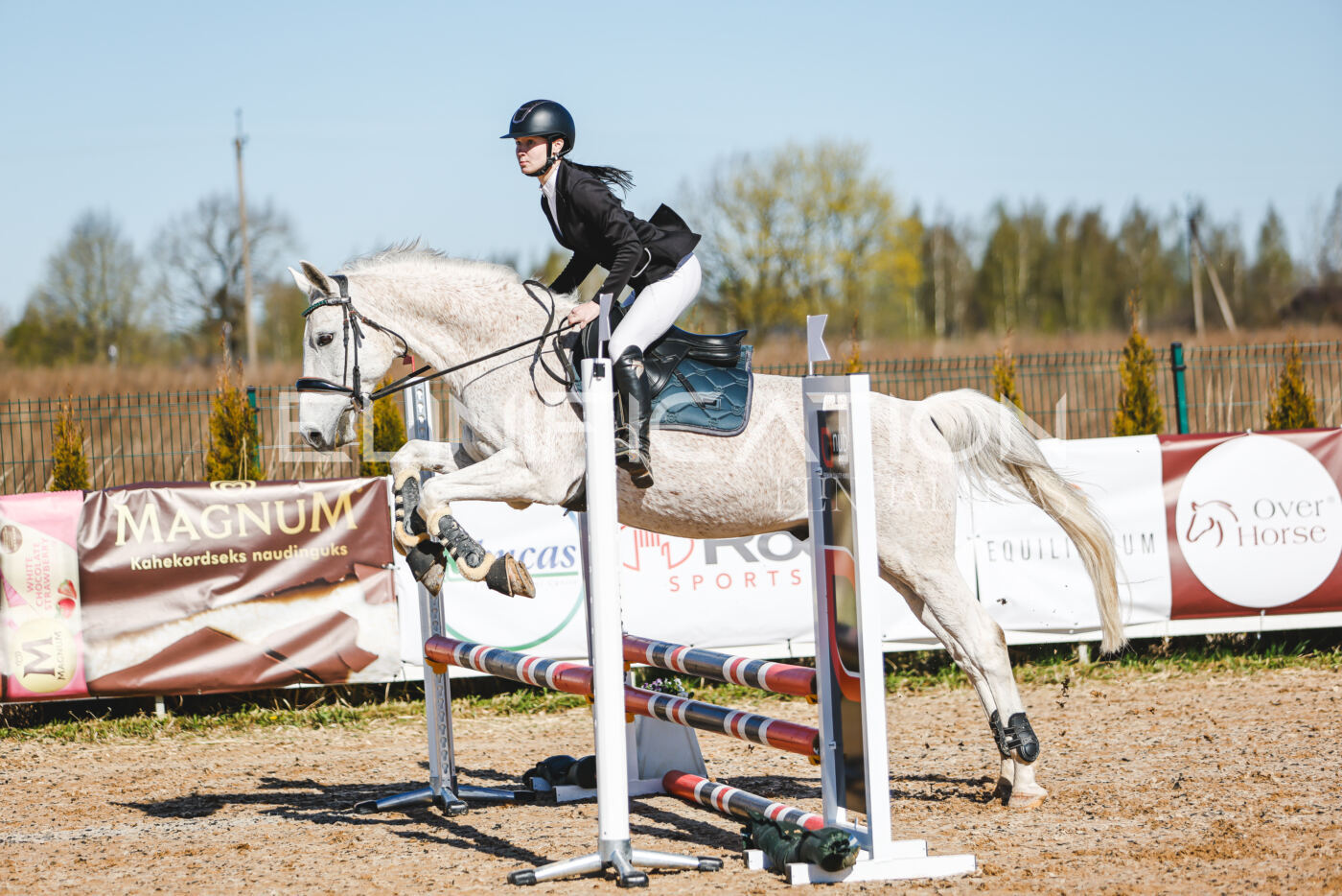 Gramina_Volber_2026_hc70-80_0217