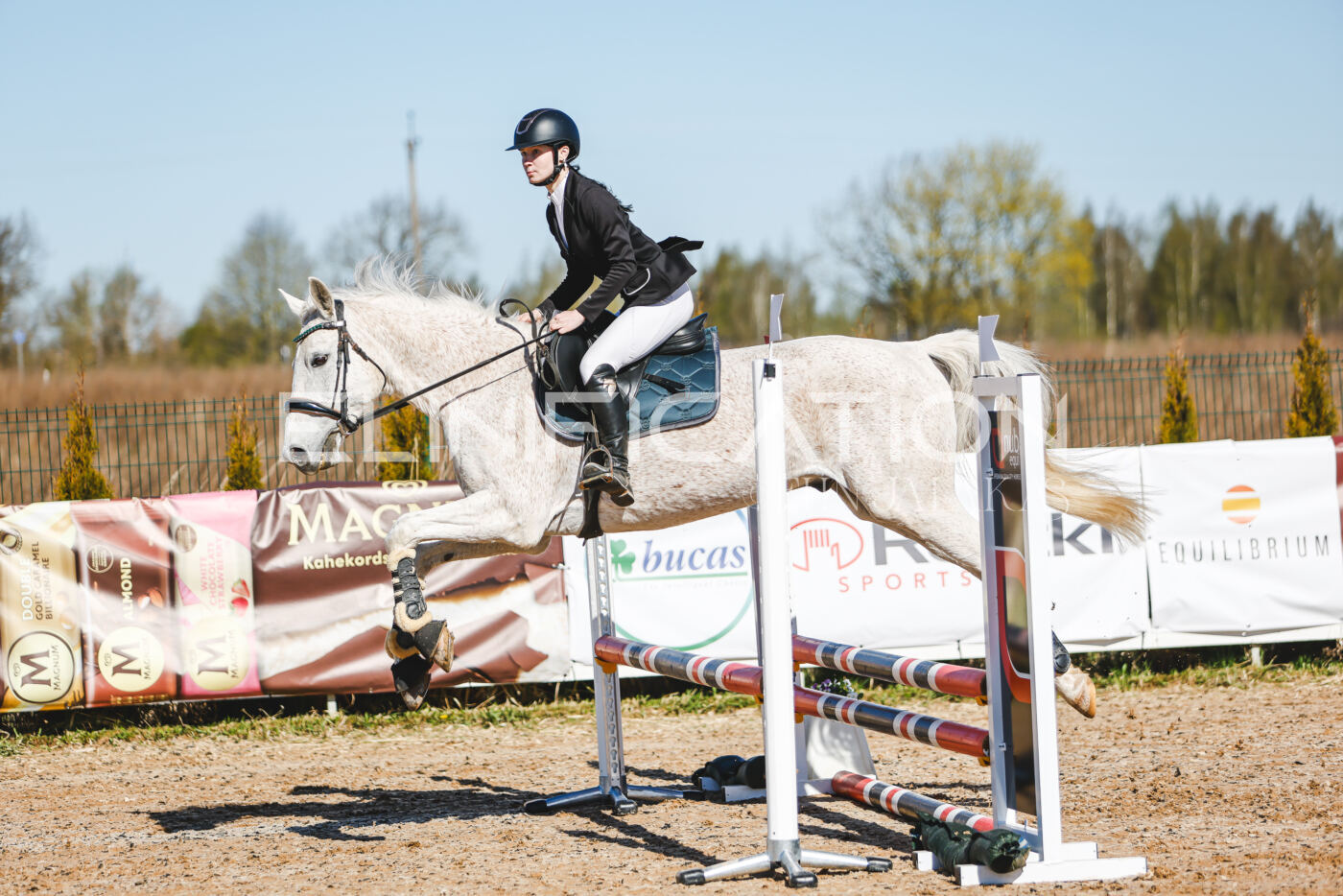 Gramina_Volber_2026_hc70-80_0219