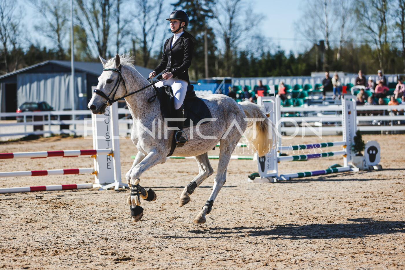 Gramina_Volber_2026_hc70-80_0225
