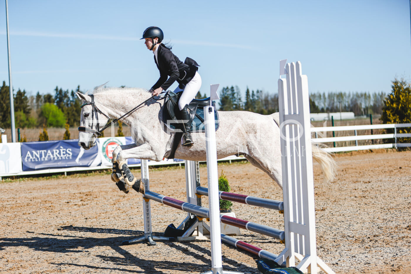 Gramina_Volber_2026_hc70-80_0231