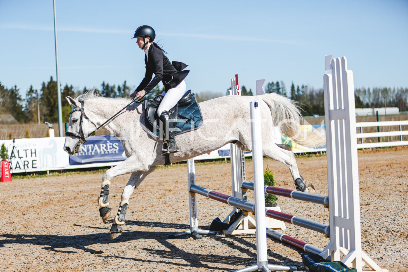 Gramina_Volber_2026_hc70-80_0233