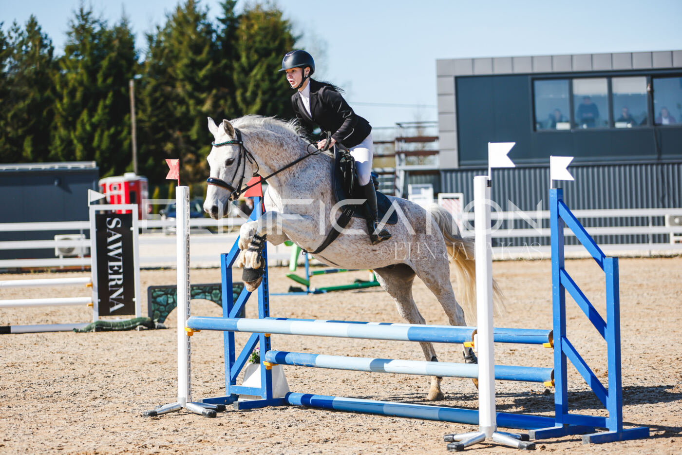 Gramina_Volber_2026_hc70-80_0246