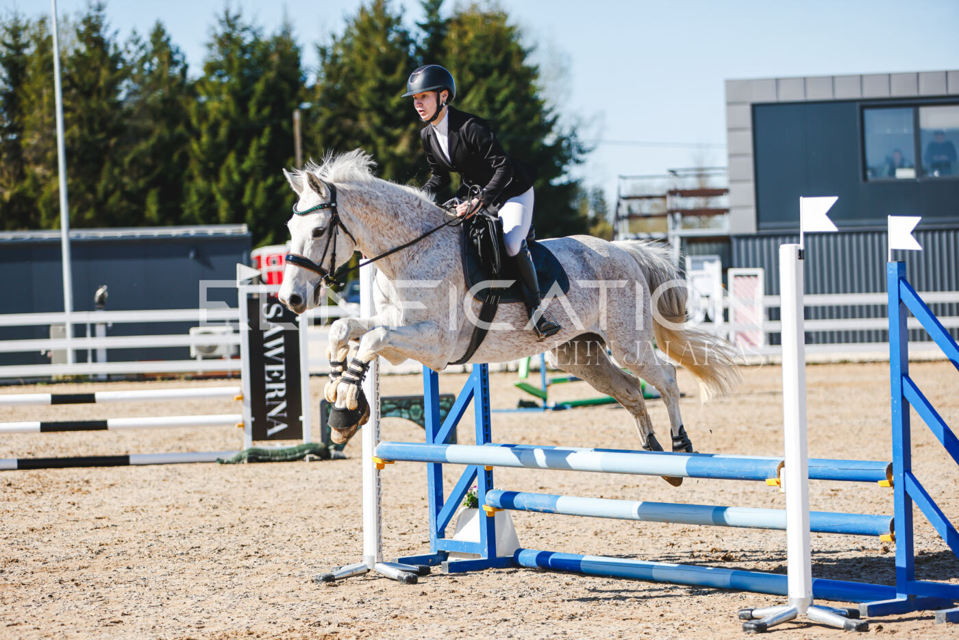 Gramina_Volber_2026_hc70-80_0248