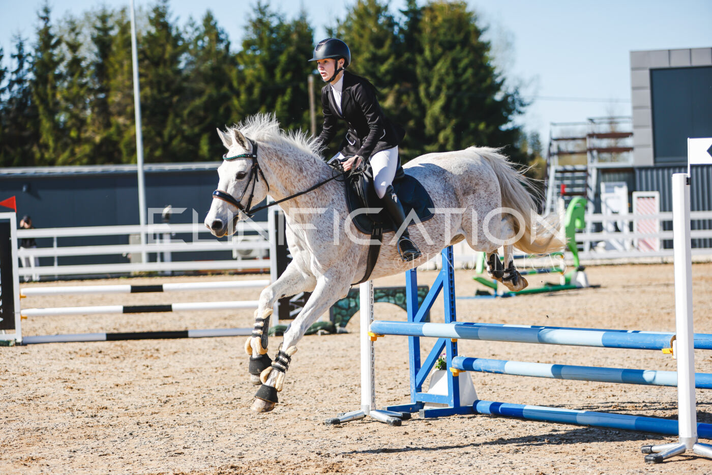 Gramina_Volber_2026_hc70-80_0250