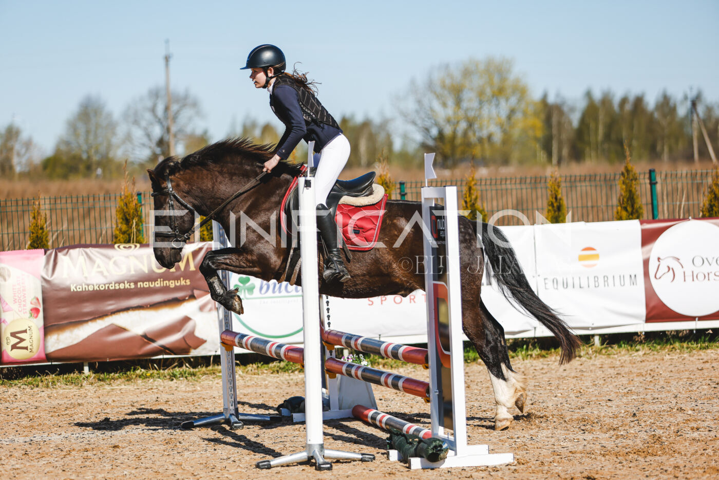 Gramina_Volber_2026_hc70-80_0253