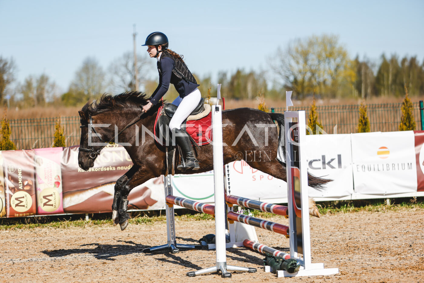 Gramina_Volber_2026_hc70-80_0255