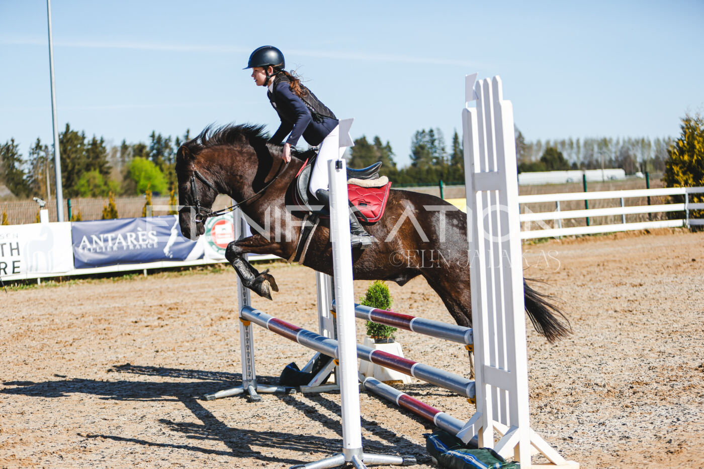 Gramina_Volber_2026_hc70-80_0260