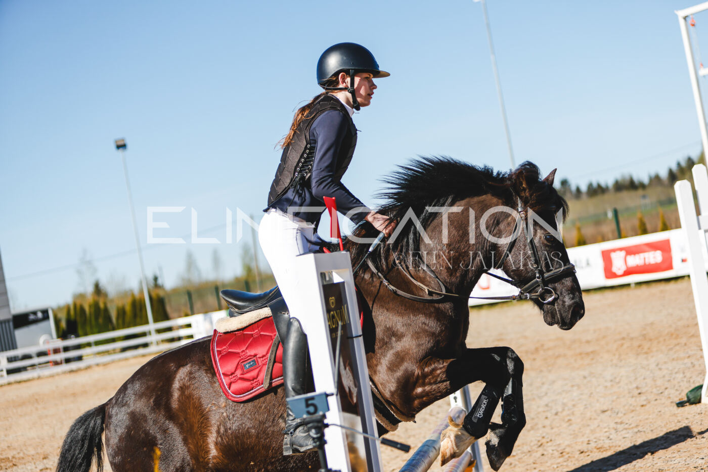 Gramina_Volber_2026_hc70-80_0271