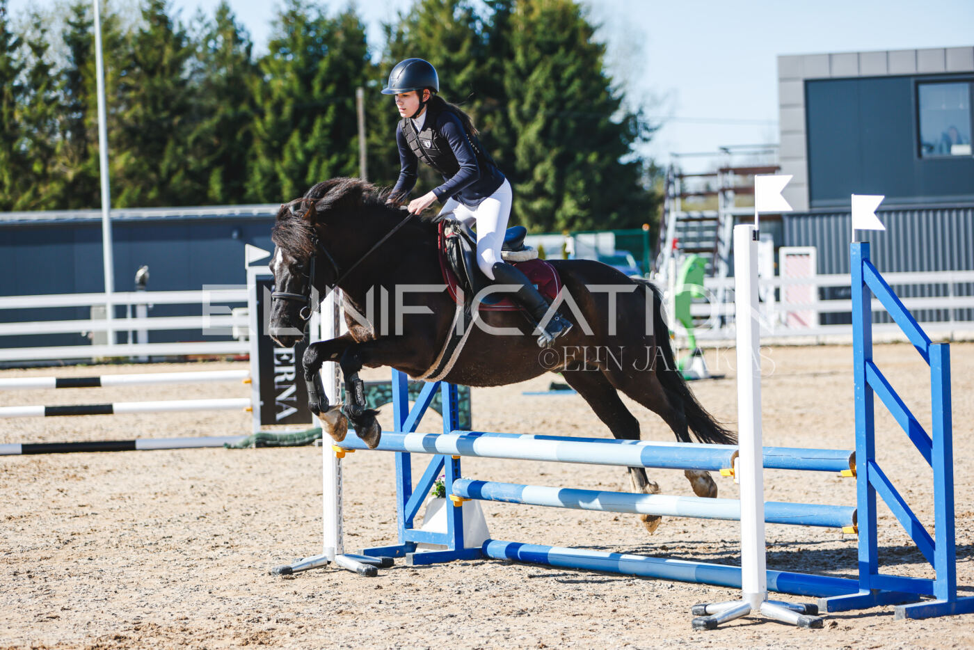 Gramina_Volber_2026_hc70-80_0274