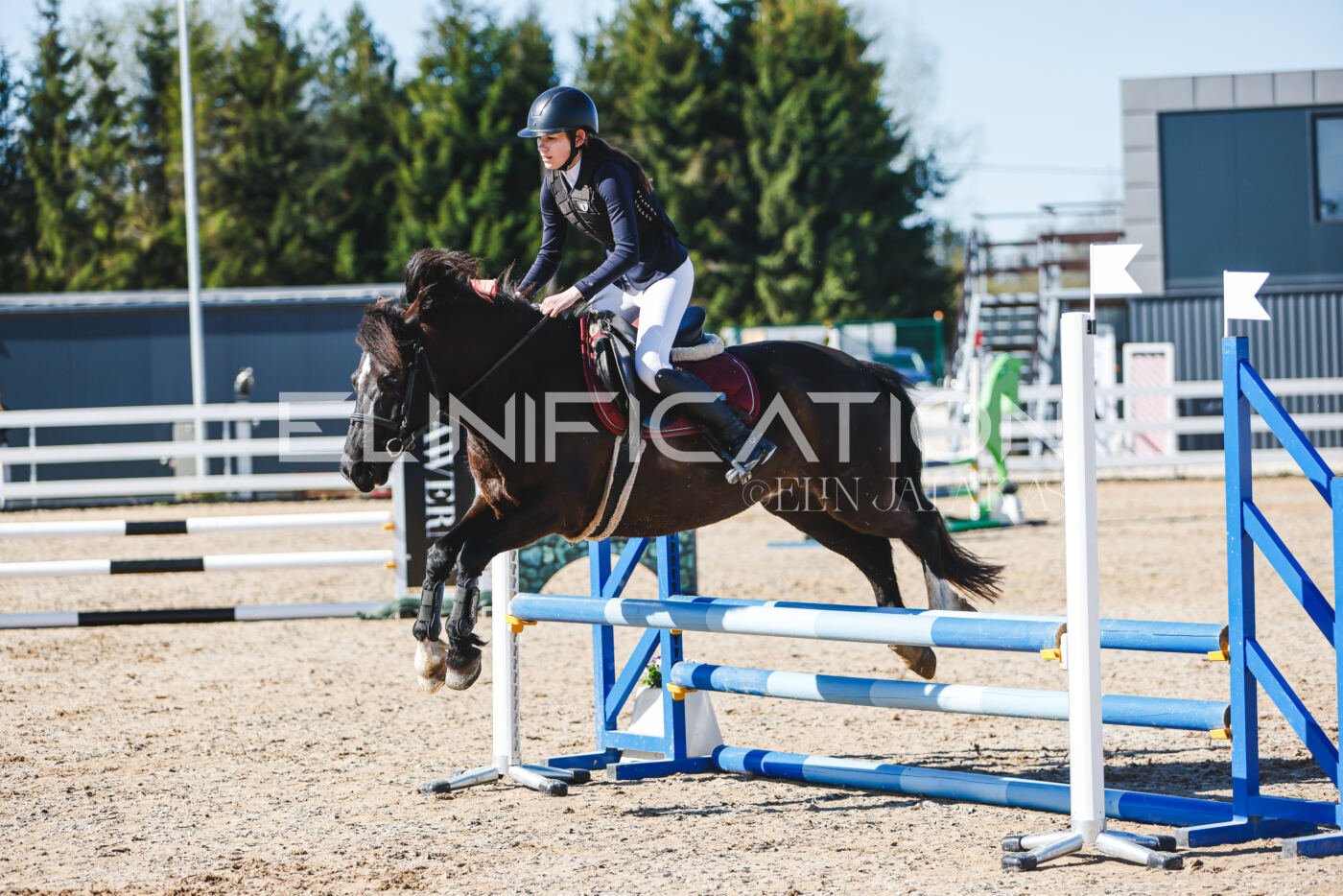 Gramina_Volber_2026_hc70-80_0275