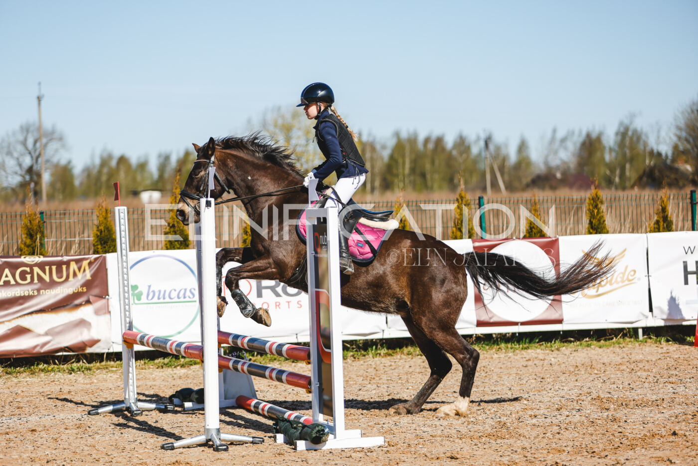Gramina_Volber_2026_hc70-80_0277